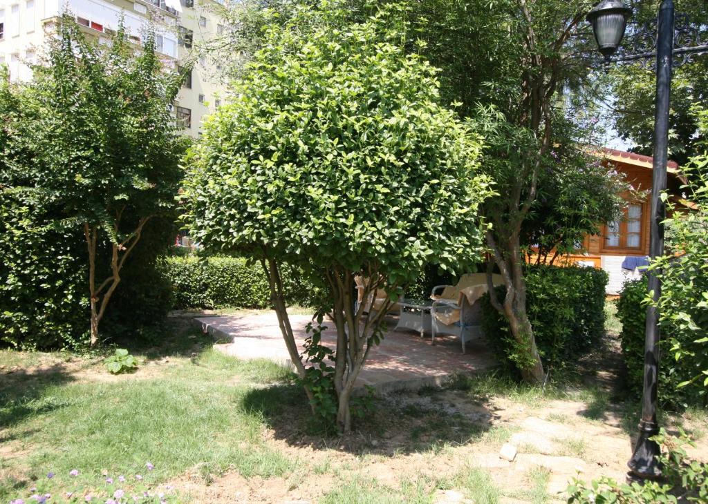 Sevkibey Hotel Alanya Exterior photo